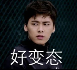 峰峰表情包i明星表情包