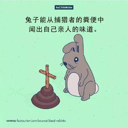 漫画科普有趣的冷知识哈哈哈哈哈...
