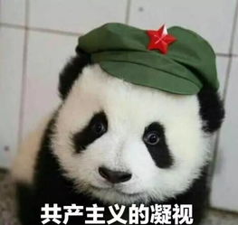 把ta当做开学第一课,作为家长你肯定有话要说