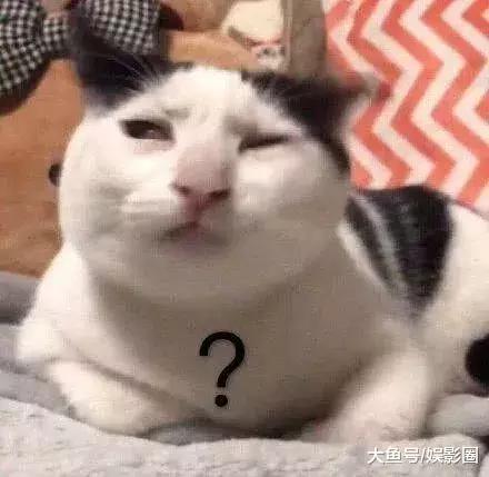 全国各地方言谐音梗我好像又不会说话了...哈哈哈哈