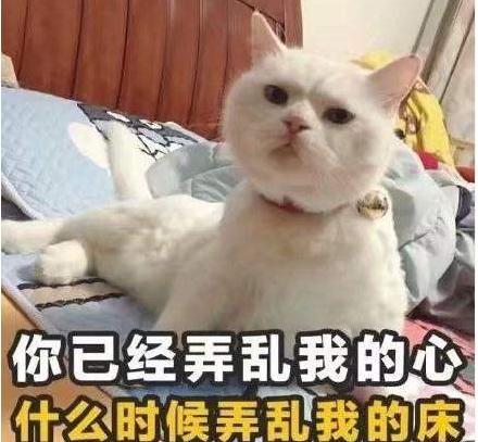 有本事先找到对象表情包高清分享