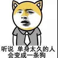 秘籍在手,考试无忧,欲练此功,诚信当头