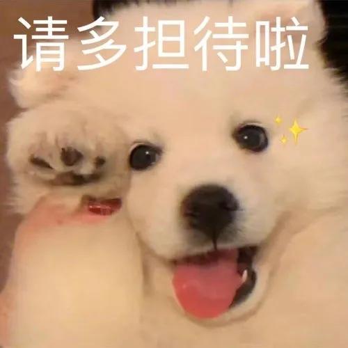 幽默搞笑表情包我只有你这一个宝贝了