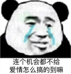 熊猫头搞笑专用表情怎么都没人喜欢我的