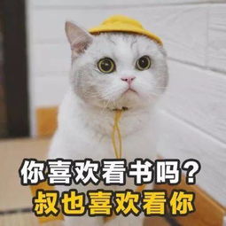 2018年最火的100个土味情话撩妹必备