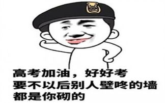 2017年高考表情包搞笑图片下载2017年高考表情包搞笑图片app下载2017年高考表情包搞笑图片手机版下载