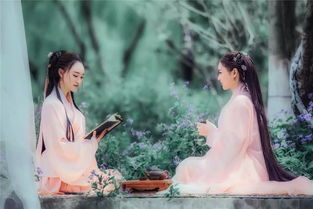 方妃百科秋风吹尽,冬已相至
