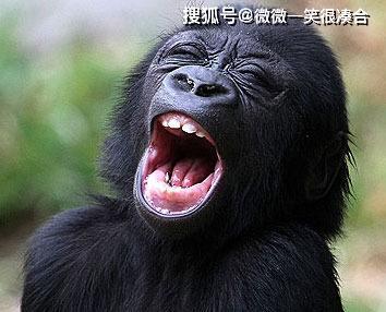 你喜欢我那么久了,怎么不追我