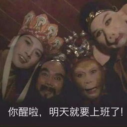 木啊木的动态