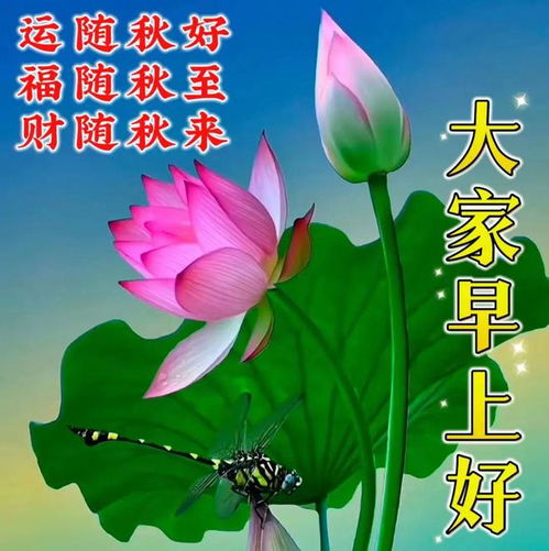 2023年10月2日早安表情图片大全,早安祝福问候语,愿君周一快乐