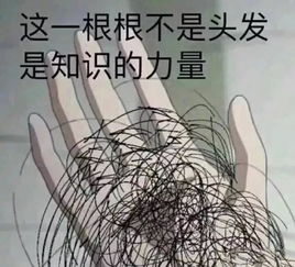 表情包丨让我来康康男朋友的三从四德