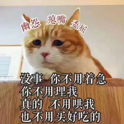 有什么好玩有趣的图片表情包吗
