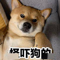 跟你超配的沙雕表情包