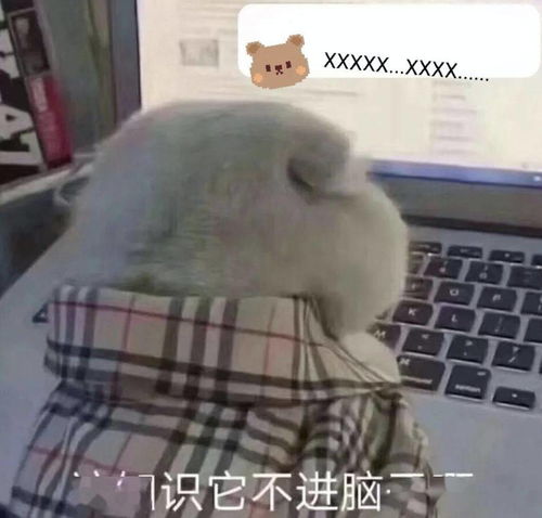 10岁女孩写诗骂数学不爱学的孩子,是怎么想的