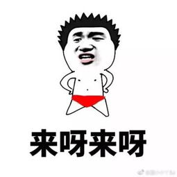 怼人表情包