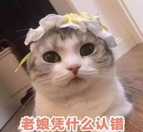 幽默笑话这椭圆形白色盖儿一弹开,我怎么看,都像马桶呢