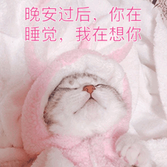 晚安撩妹表情包对你何止一句喜欢,却只能说晚安好梦