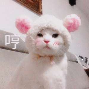 幽默笑话本人妹子,个高又有肉