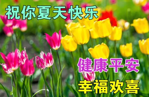 早上好表情包,夏日炎炎,祝福不减,祝你夏日愉快