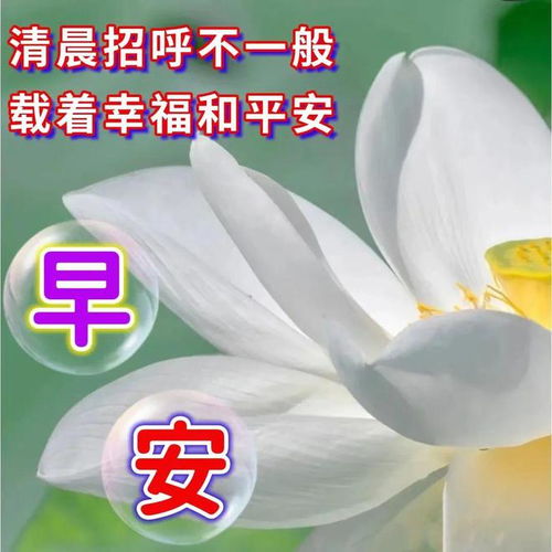 2023年10月12日早安动态表情图片大全,走心的早安祝福温馨问候