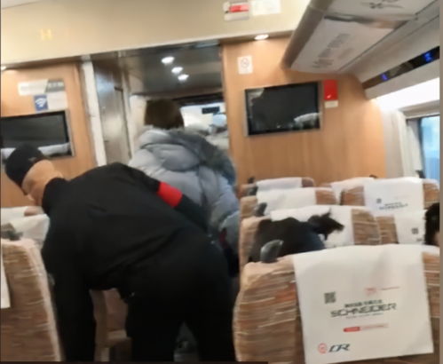 女子高铁上不戴口罩还外放音乐,乘务员制止反被打哭,被警方带走调查
