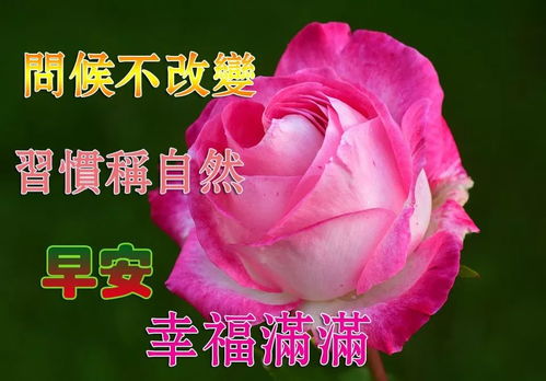 10月18日问候早上好图片带字动态表情早上好图片问候祝福语句子