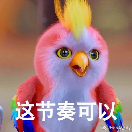 楚乔传鹦鹉表情包