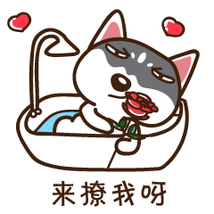 二哈微信表情第一弹