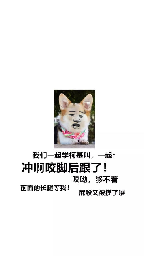 一组心心念念的壁纸