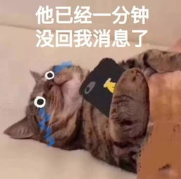 搞笑沙雕表情包把你捧在手心