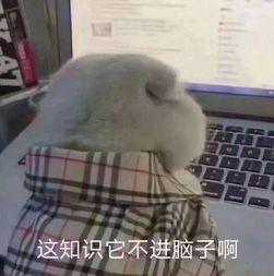 上海的朋友还好吗最严垃圾分类逼退外卖一族,支付宝来解救大家