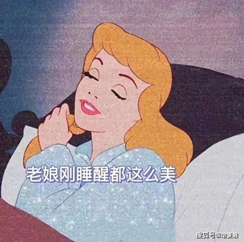 人间真实系列之x迪士尼公主搞笑沙雕表情包