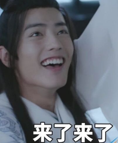 抖音陈情令蓝湛魏无羡表情包大全