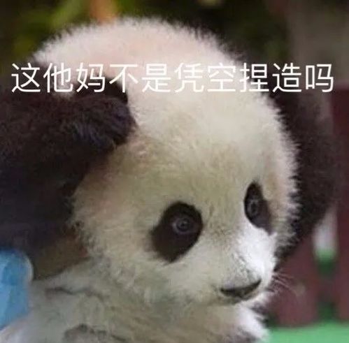搞笑可爱表情包猩猩