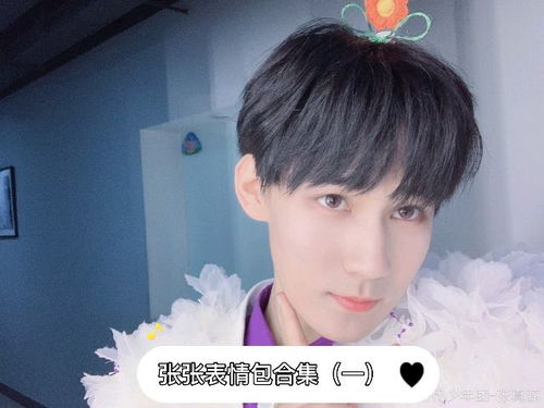 时代少年团张真源小张张表情包合集一张哥保佑我不被打