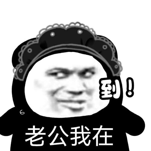 每日沙雕表情包