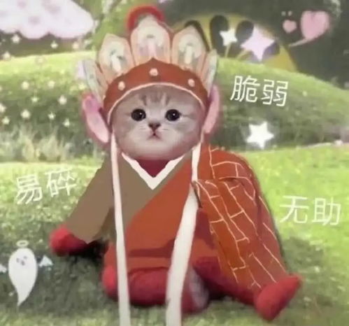 生活好无趣