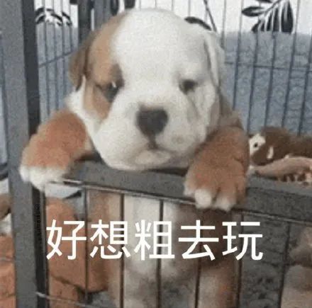 潮图表情包我一只狗的时候孤独啊,好想出去玩