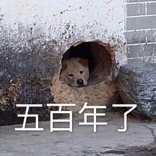 认真搞笑表情包