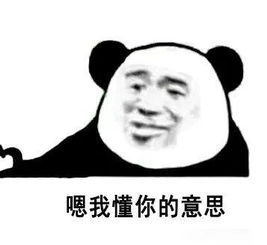 你懂我的意思吧表情包大全