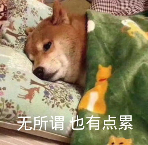 真的假的第一次看到这么冷还这么久的低温雨雪凝冻天气