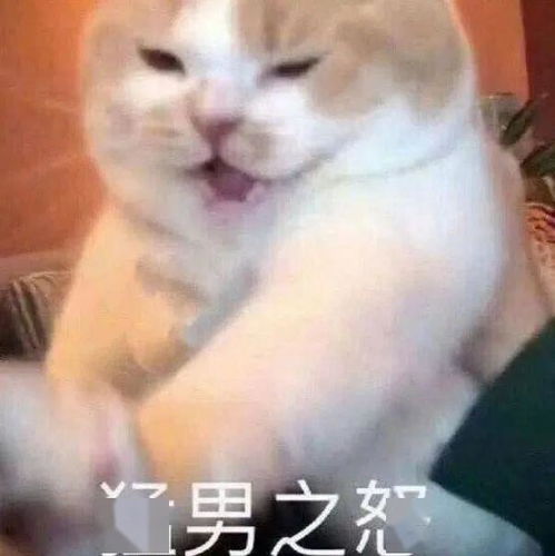 泰国人真的是在认真防疫,而我是真的没忍住笑哈哈哈哈泰好笑了