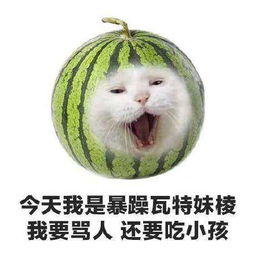 沙雕系列表情包沙雕果蔬表情包高清图集大全