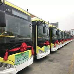 梧州40辆纯电动公交车2018年1月起投入使用