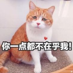 一言不合p遗照,还是你们狠