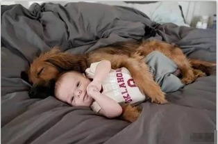 麻麻不在家狗狗和baby是这样的