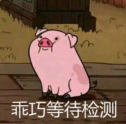 想要做出志玲姐姐的最爱你得先问问刘强东的意见