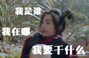 武动乾坤林动杨洋表情包大全