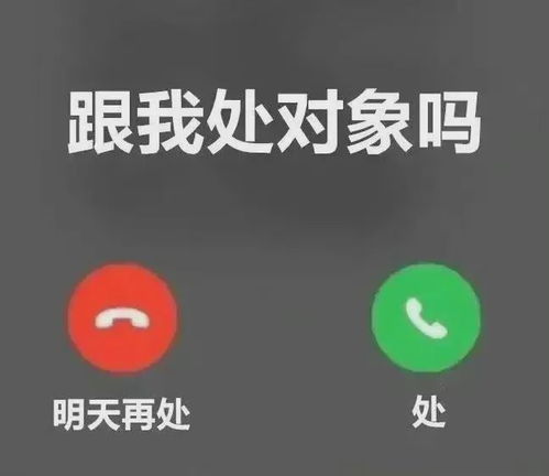 女主播半夜在冰天雪地里直播,一夜涨粉50w,引发网友热议