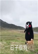 停下戏太多了表情包好玩吗停下戏太多了表情包怎么玩用户评论